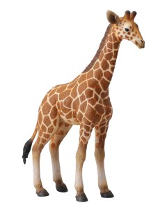 Фигурка Жеребенок сетчатого жирафа L 88535 Collecta