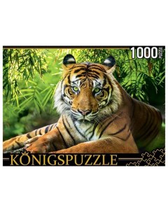 Пазлы Благородный тигр 1000 элементов ГИK1000 0649 Konigspuzzle