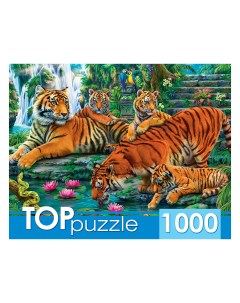 Пазлы Семейство тигров 1000 элементов Toppuzzle