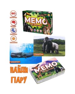 Игра Мемо Мир животных 50 карточек ИН 0917 Рыжий кот