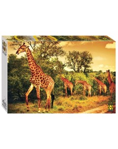 Мозаика puzzle 4000 Южноафриканские жирафы Step puzzle