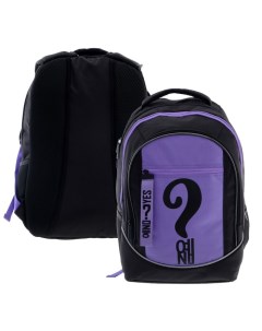 Рюкзак школьный 42 х 30 х 20 см эргономичная спинка Sreet YES NO черный фиолето Hatber