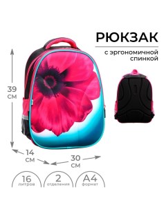 Рюкзак каркасный школьный Inspire 39 х 30 х 14 см Calligrata