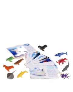 Набор фигурок животных для детей с обучающими карточками Подводный мир 2519488 Iq-zabiaka