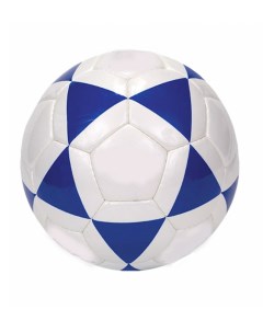 Двухцветный футбольный мяч 32 панели размер 5 00117157 Бело синий Ripoma