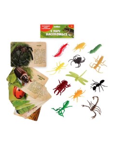 ZABIAKA с обучающими карточками В мире насекомых 12 животных 12 карточек Забияка