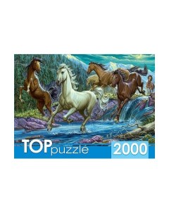 Пазлы Ночной табун лошадей 2000 элементов Toppuzzle
