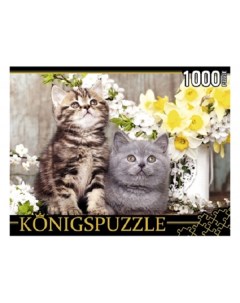 Пазлы Котята в весенних цветах 1000 элементов ШТK1000 0647 Konigspuzzle