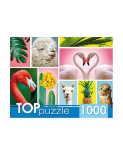 Пазлы Модный коллаж 1000 элементов Toppuzzle