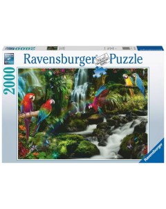 Пазл 2000 Разноцветные попугаи в джунглях 17111 Ravensburger
