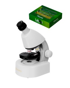 Микроскоп Micro Polar с книгой nD77952 Discovery