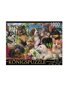 Пазлы Собачки в саду 1000 элементов Konigspuzzle