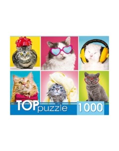 Пазлы Смешные котята 1000 элементов Toppuzzle