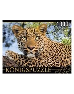 Пазлы Портрет леопарда 1000 элементов ГИK1000 0648 Konigspuzzle