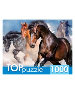 Пазлы Табун скакунов 1000 элементов Toppuzzle