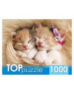 Пазлы Два спящих котенка 1000 элементов Toppuzzle
