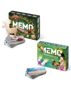Настольные развивающие игры Мемо для детей Новый год Пернатый мир Нескучные игры