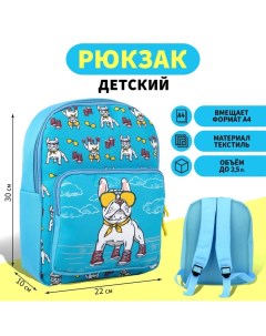 Рюкзак детский с карманом Пес в кедах 302210 см Nazamok