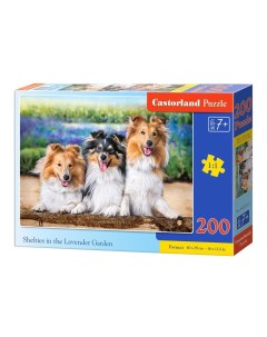 Пазлы 200 деталей Premium Собаки в саду Castorland