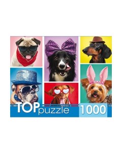 Пазлы Забавные щенки 1000 элементов Toppuzzle