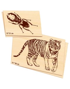 Доски для выжигания жук олень тигр 01816ДК Десятое королевство