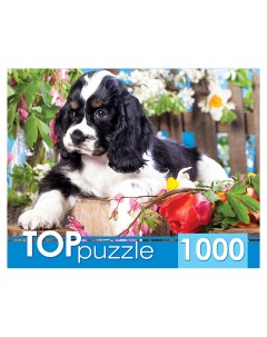 Пазлы Щенок спаниеля в саду 1000 элементов Toppuzzle