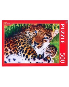 Пазл Леопард на траве 500 элементов 5422969 Рыжий кот