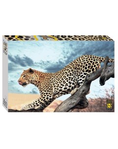 Пазлы 2000 Леопард в дикой природе Степ