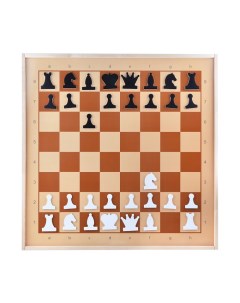Шахматы демонстрационные магнитные Десятое королевство