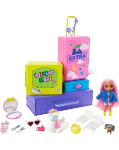 Игровой набор Extra Мини кукла с питомцами HDY91 Barbie