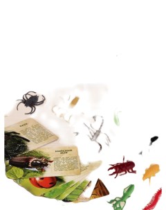 Набор животных с обучающими карточками В мире насекомых 2519486 Iq-zabiaka