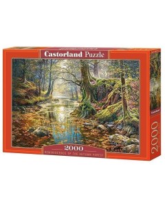 Пазл 2000 В осеннем лесу С 200757 Castor Land Castorland