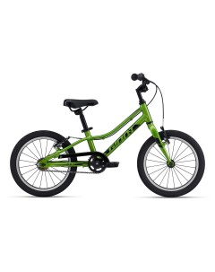 Детский велосипед Велосипед Детские ARX 16 F W год 2022 цвет Зеленый Giant