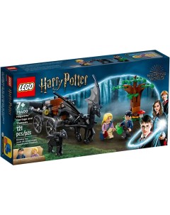 Конструктор Harry Potter Карета и фестралы Хогвартса 76400 Lego