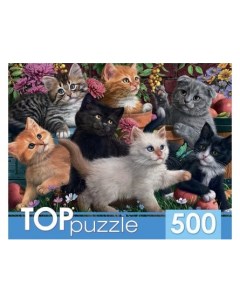 Пазлы Игривые котята 500 элементов Toppuzzle