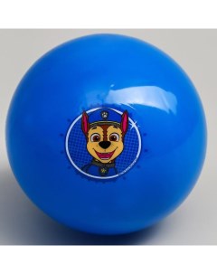 Мяч детский Гончик 16 см 50 гр цвета МИКС Paw patrol