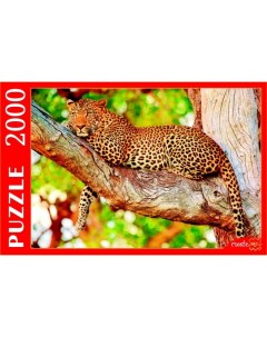 Пазл Изящный леопард на дереве 2000 элементов Рыжий кот