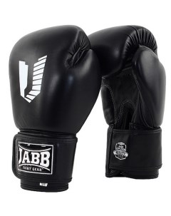 Боксерские перчатки Asia Legend черные 10 унций Jabb
