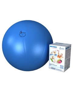 Мяч Фитбол Стандарт голубой 55 см Альпина пласт
