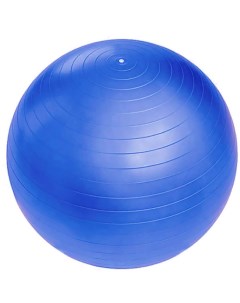 Мяч гимнастический 267 993 55см голубой Sportage