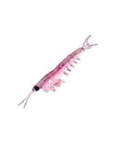 Приманка мягкая Dappy Okiami Shrimp L 58мм Purple Glitter Nikko