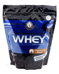 Протеин Whey Protein 500 г double chocolate Rps nutrition