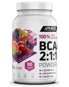 BCAA 2 1 1 500 гр 90 пор без сахара фруктовый пунш Atlecs