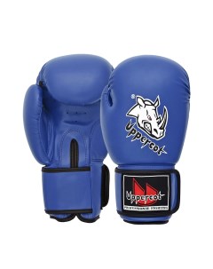 Боксерские перчатки UBG 02 DX Синие 2 oz Roomaif