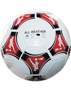 Футбольный мяч GFSP28 SC 5 multicolor Actico