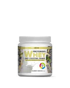 Протеин Whey Protein 100 420 гр черничный чизкейк Atech nutrition