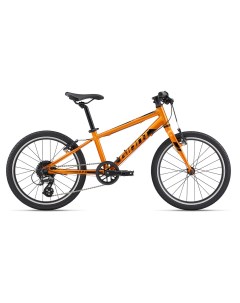 Велосипед ARX 20 2022 Metallic Orange One Size Only Giant