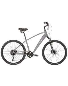 Велосипед Lxi Flow 3 29 2021 20 серый Del sol