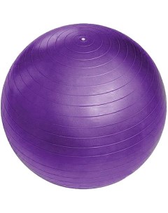 Мяч гимнастический 267 996 55см фиолетовый Sportage