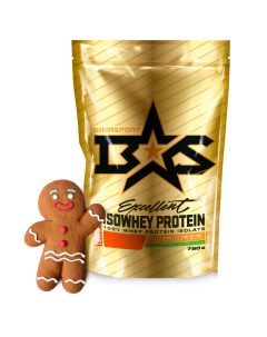 Протеин Excellent Isowhey Protein 750 г gingerbread Binasport